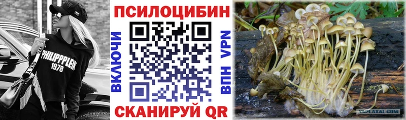 Галлюциногенные грибы мухоморы Кодинск